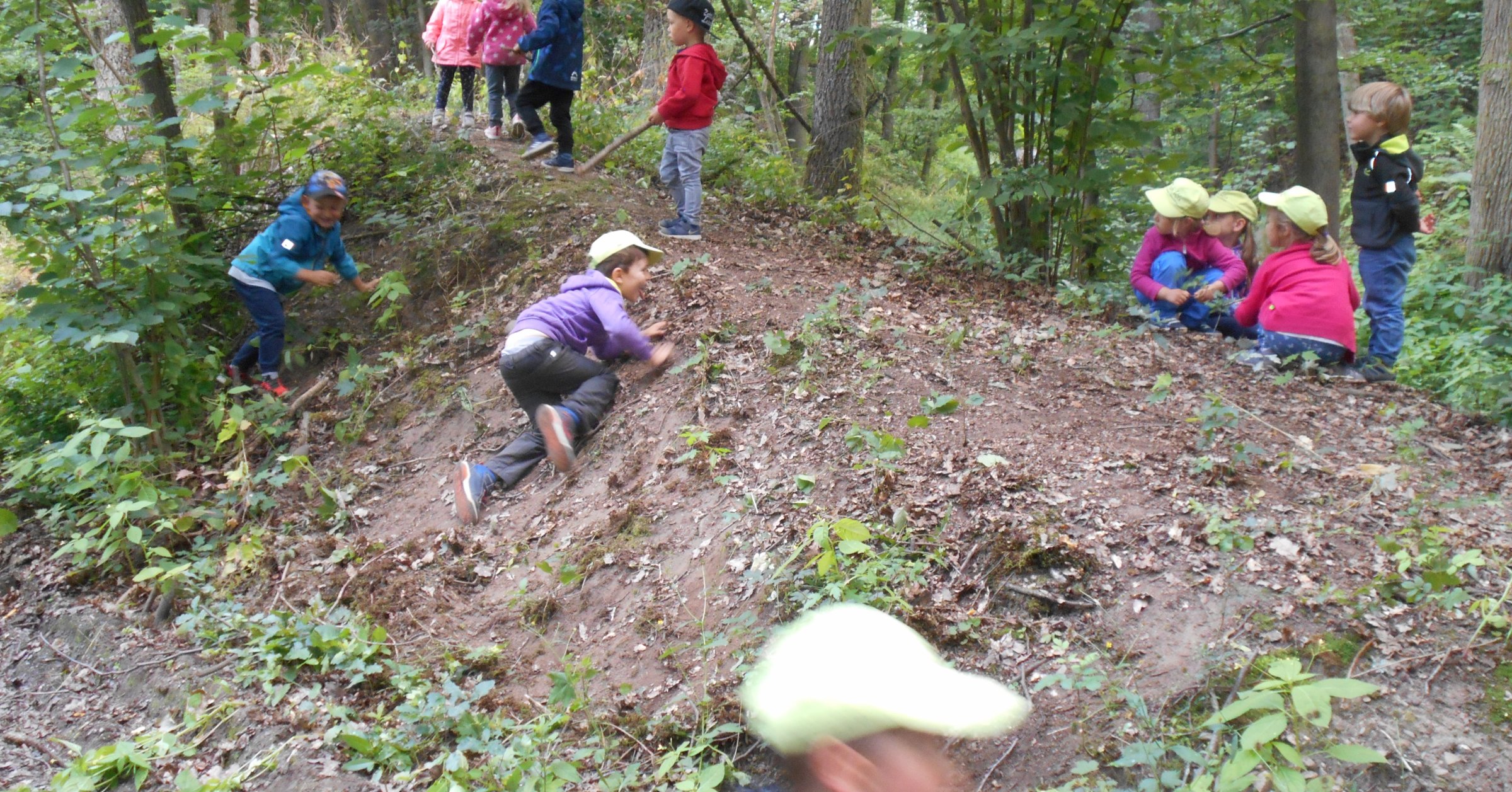 Waldwoche | Kindertagesstätte Marktzeuln